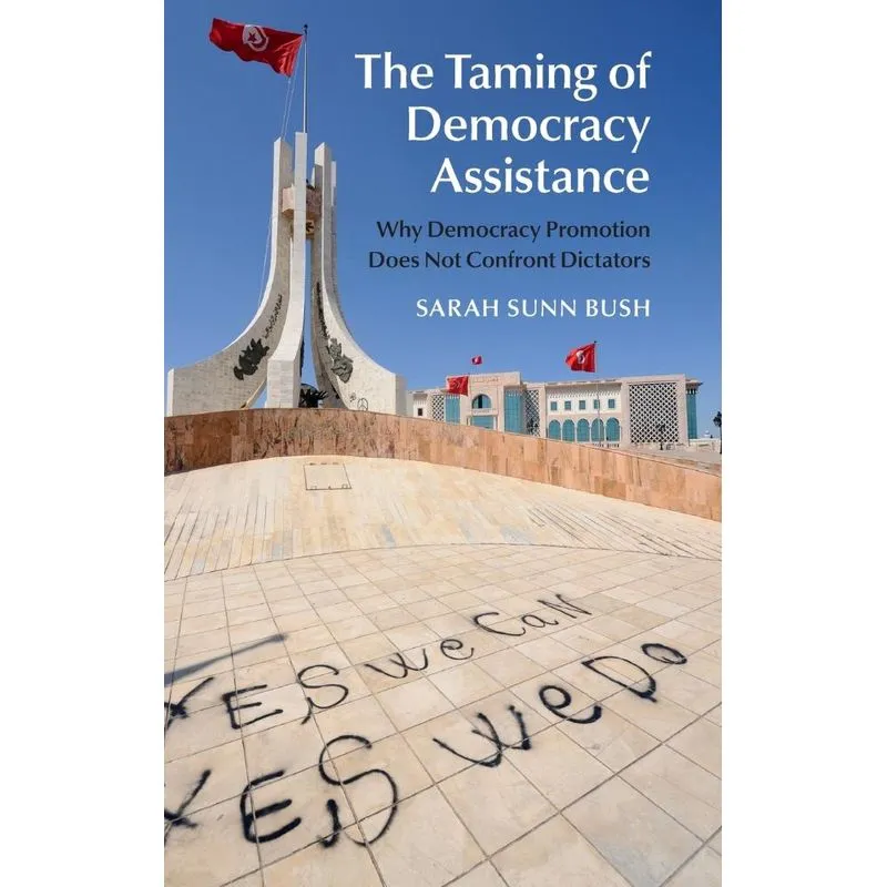 The Taming of Democracy Assistance