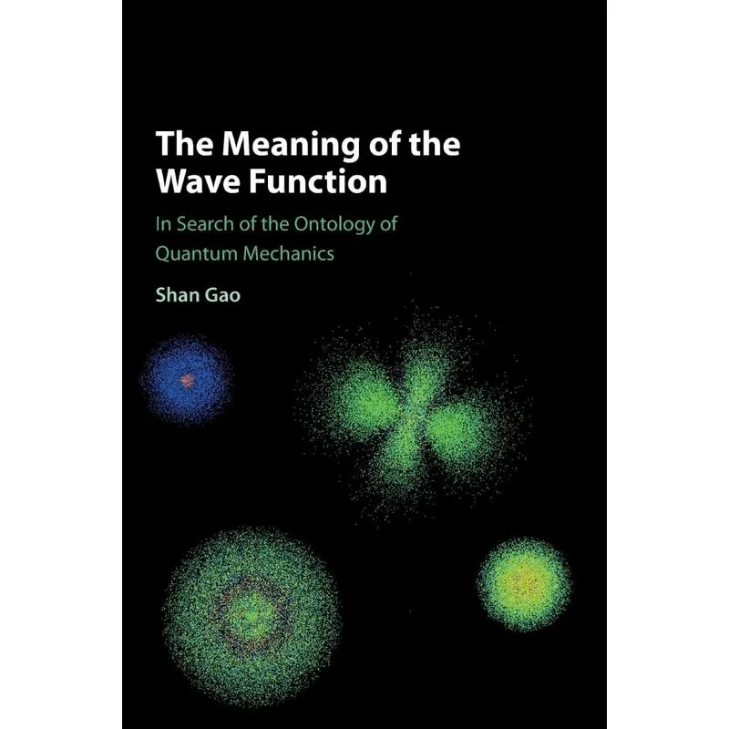 The Meaning of the Wave Function