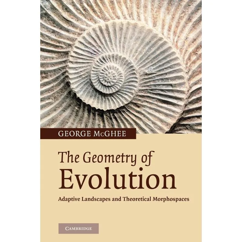The Geometry of Evolution