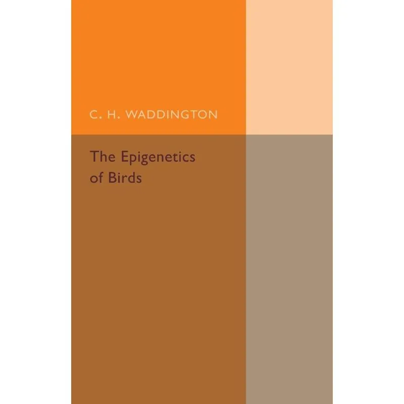 The Epigenetics of Birds