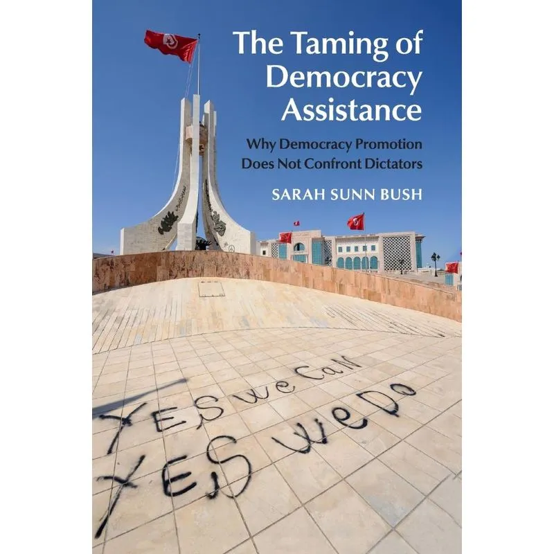 The Taming of Democracy Assistance
