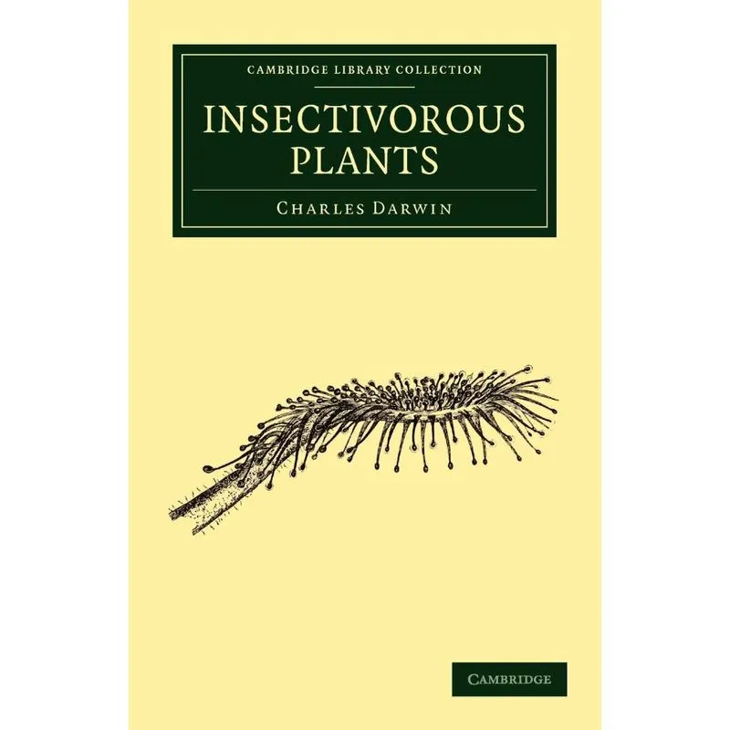 Insectivorous Plants