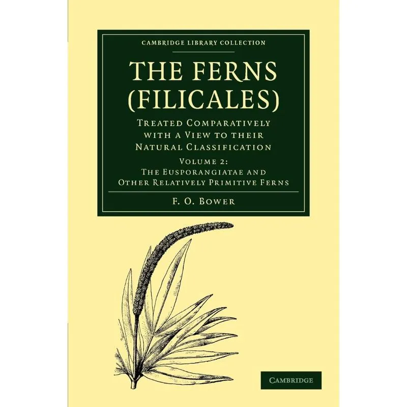 The Ferns (Filicales)