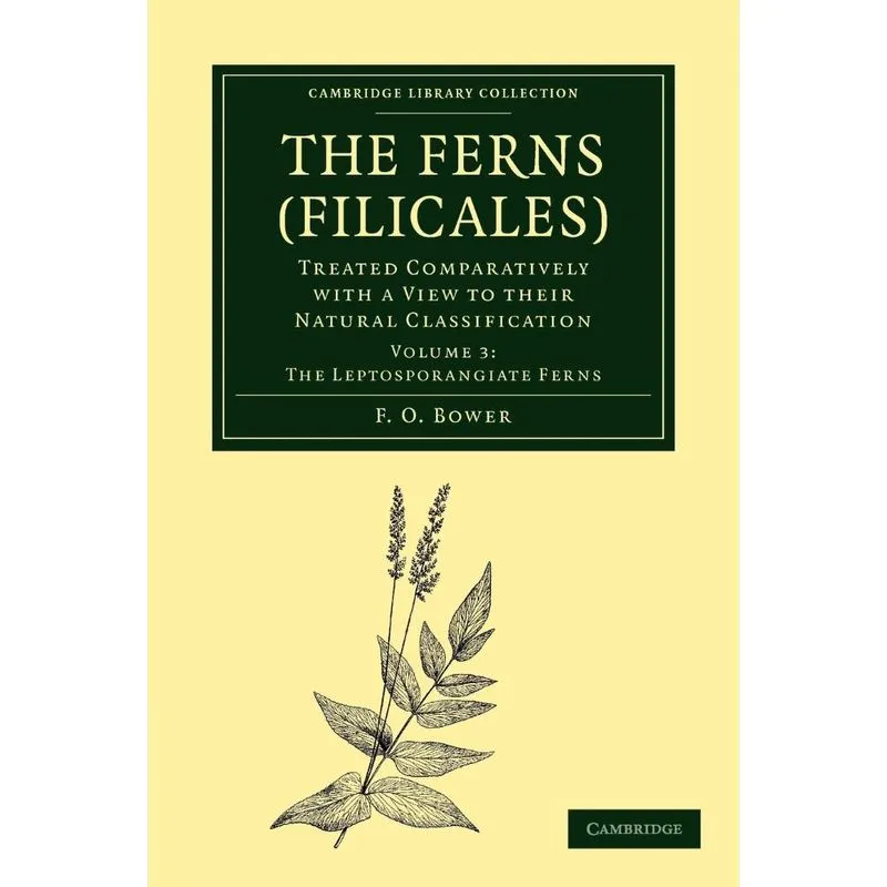 The Ferns (filicales)