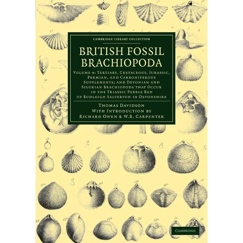 British Fossil Brachiopoda - Volume 4