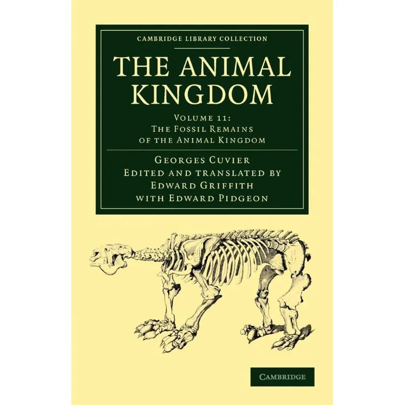 The Animal Kingdom - Volume 11