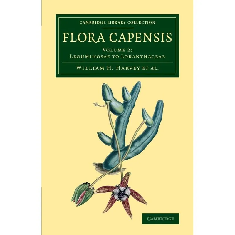 Flora Capensis
