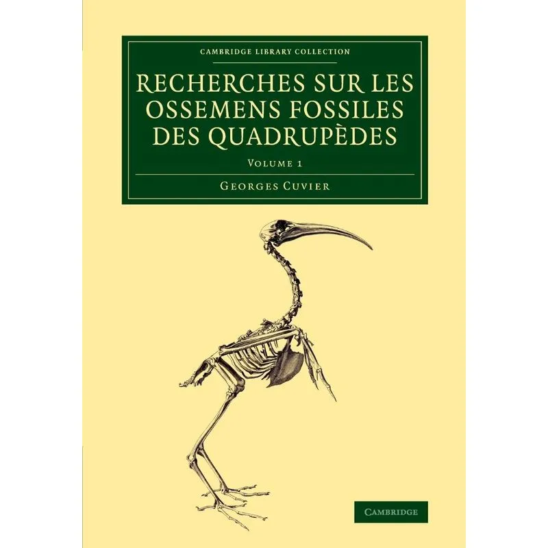 Recherches sur les ossemens fossiles des quadrupèdes - Volu