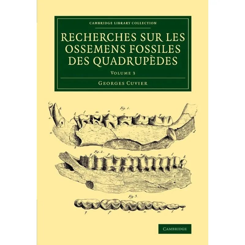 Recherches sur les ossemens fossiles des quadrupèdes - Volume 3