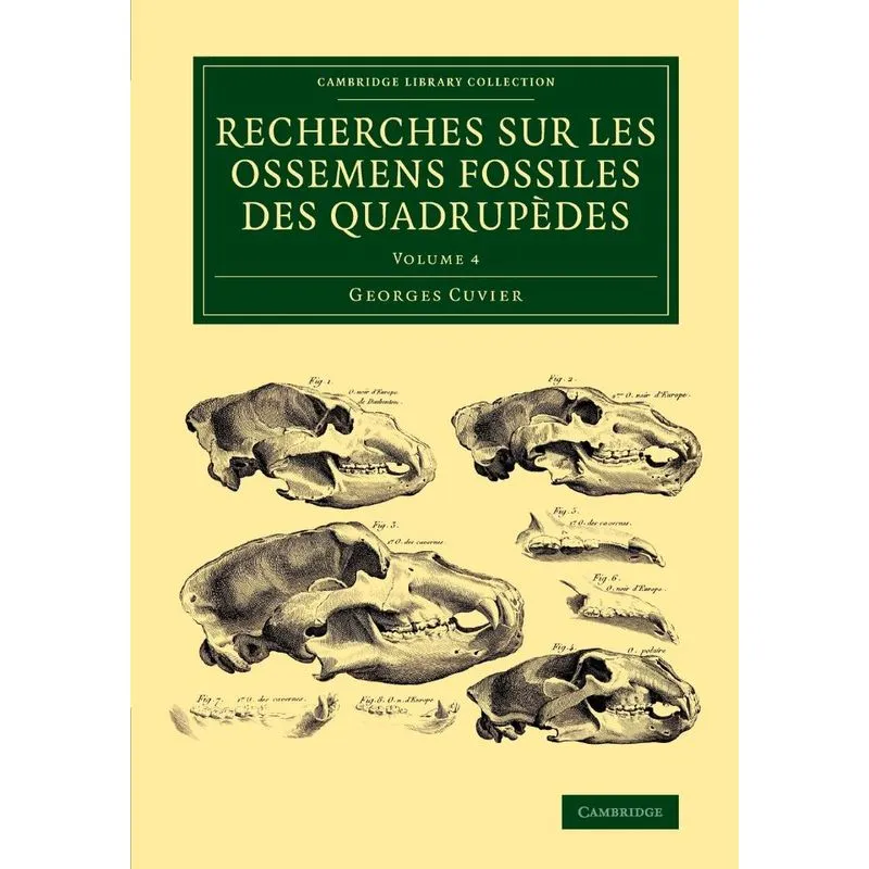 Recherches sur les ossemens fossiles des quadrupèdes - Volu