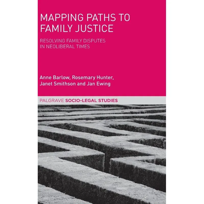 Mapping Paths to Family Justice