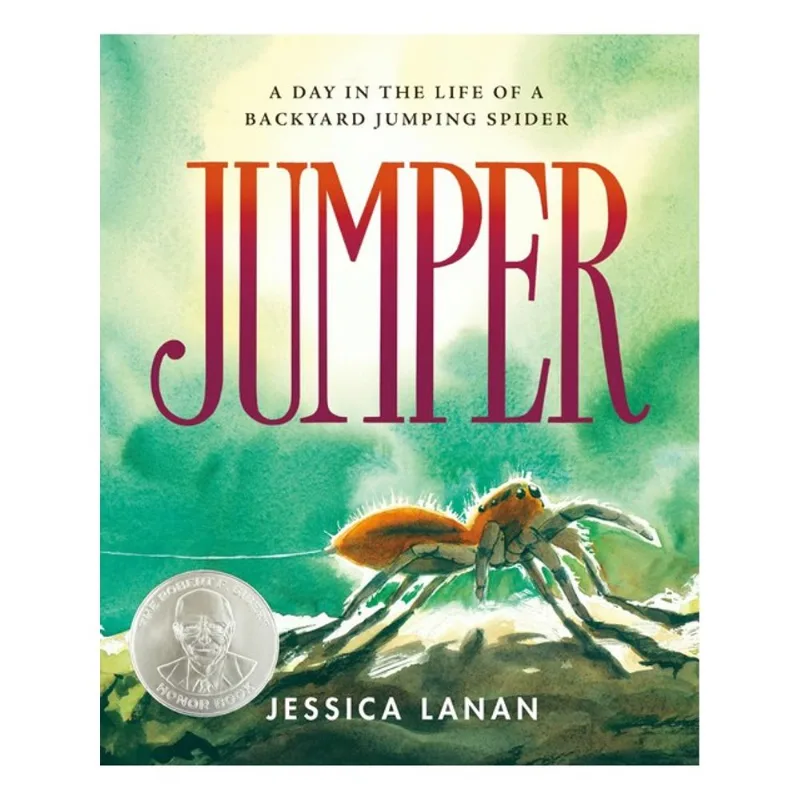JUMPER - A DAY IN THE LIFE OF A BACKYARD JUMPING SPIDER