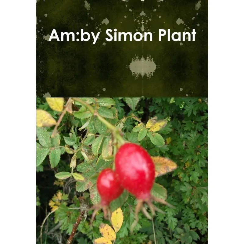 Am