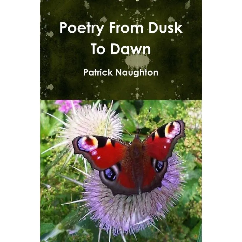 Poetry From Dusk To Dawn