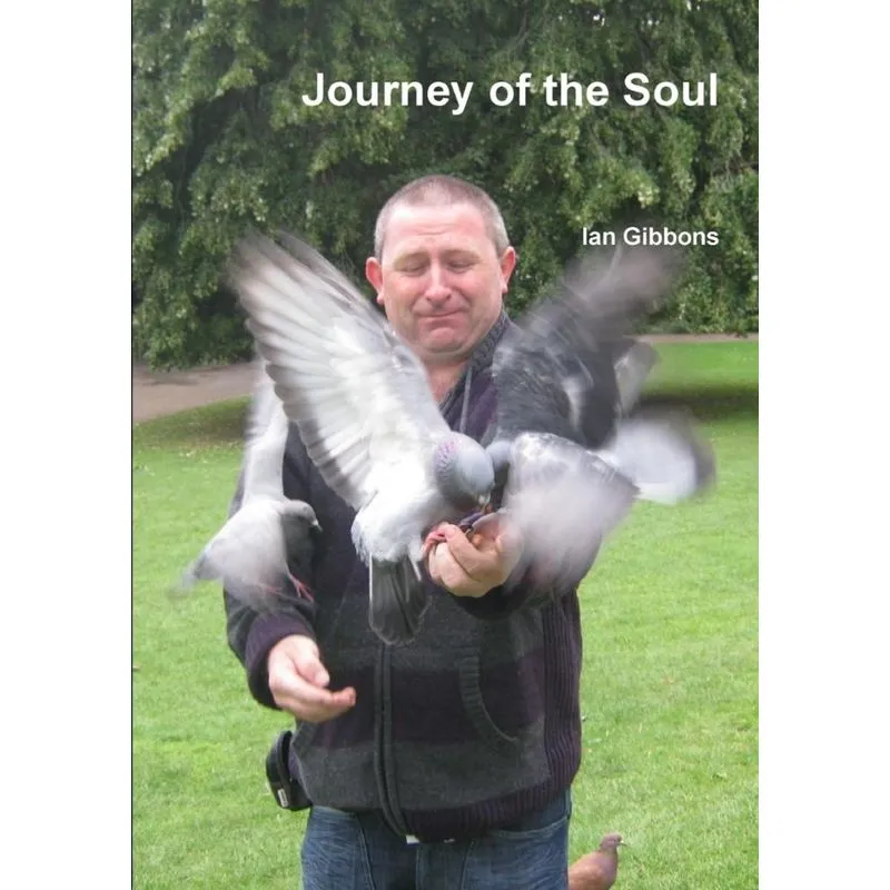 Journey of the Soul (paperback)