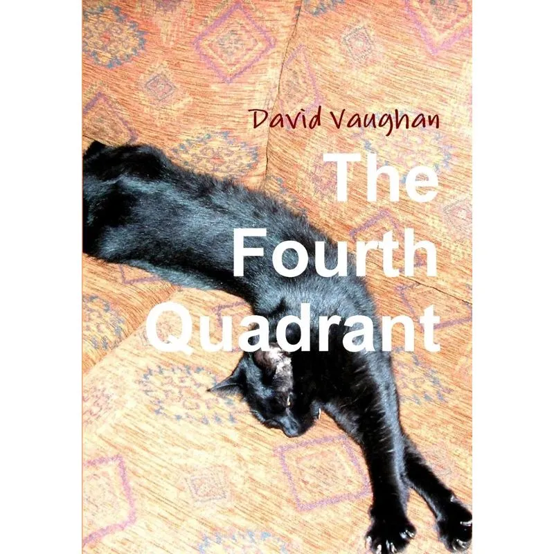 The Fourth Quadrant