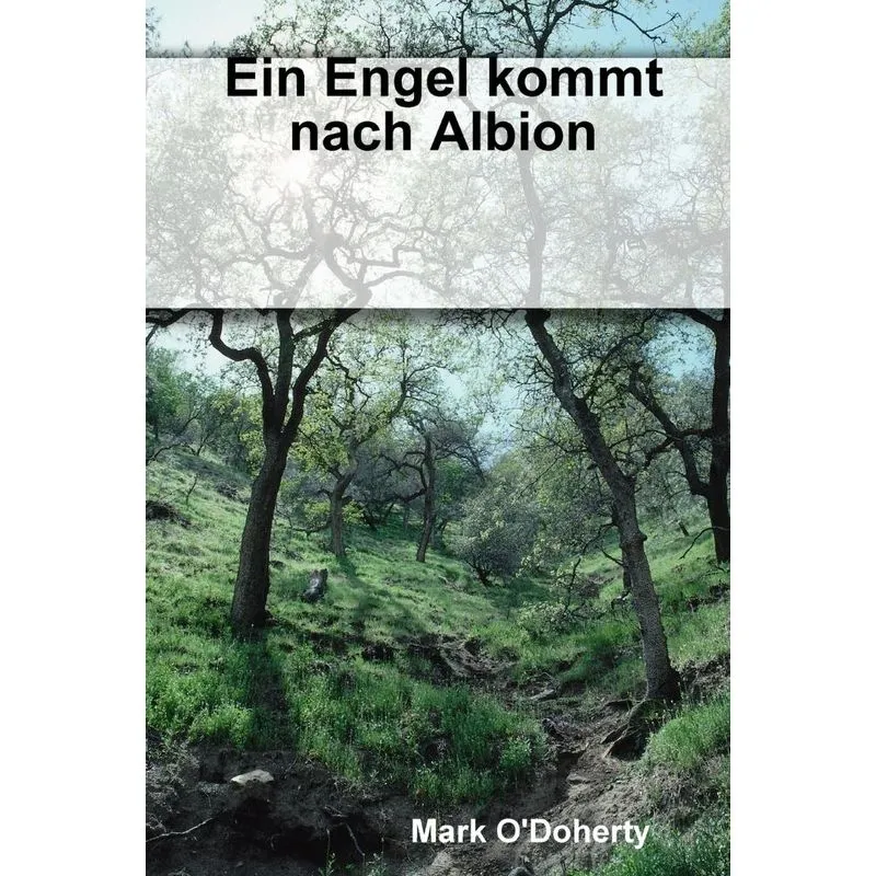 Ein Engel kommt nach Albion