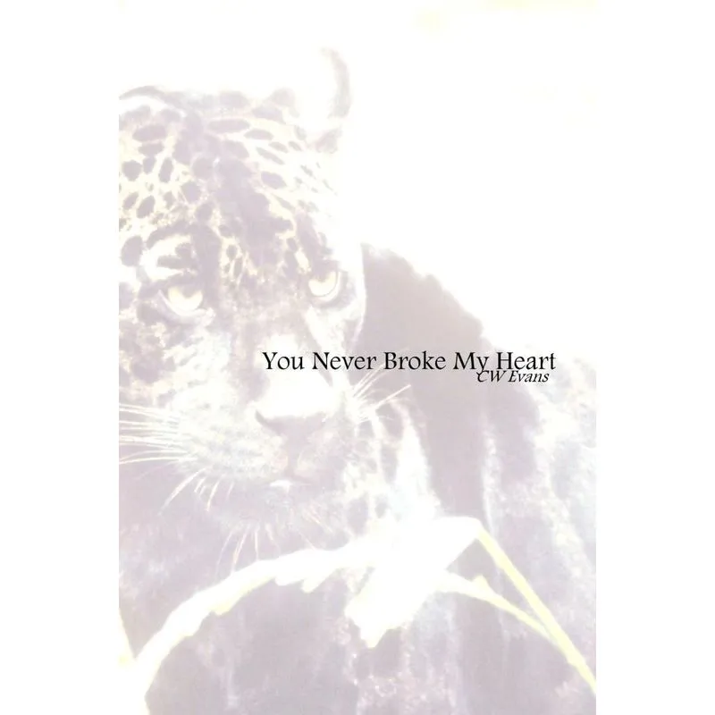 You Never Broke My Heart