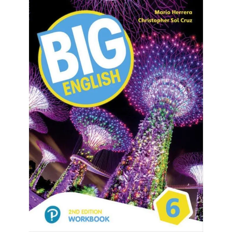 BIG ENGLISH 6 WORKBOOK