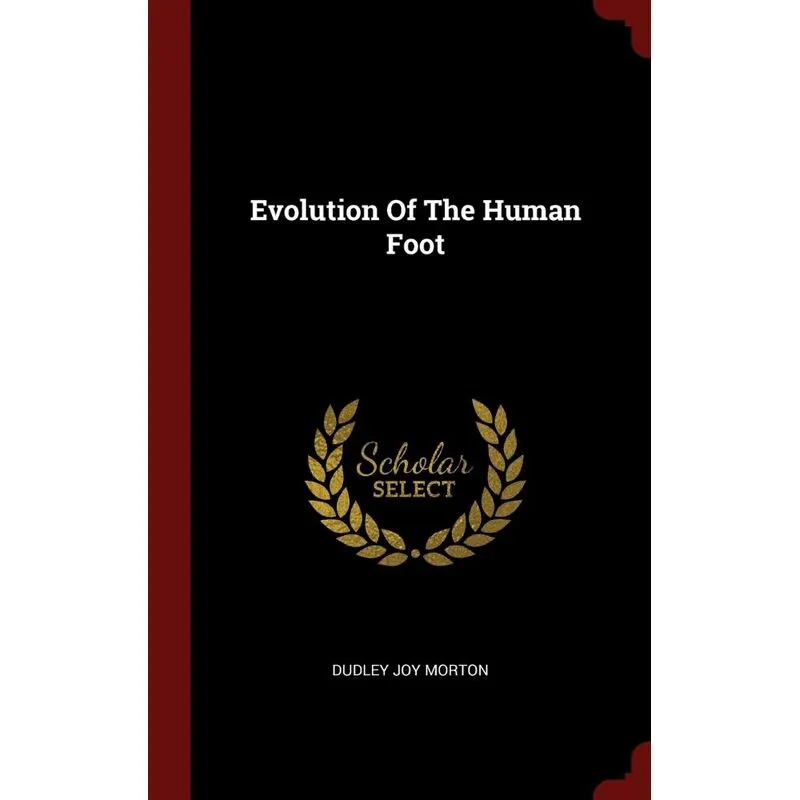 Evolution Of The Human Foot