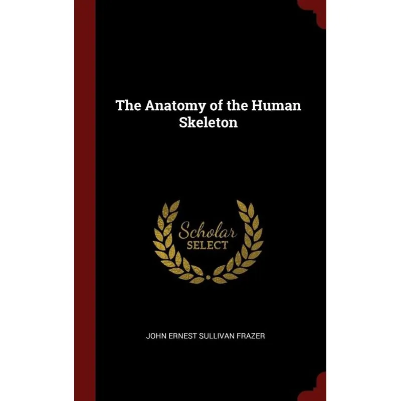 The Anatomy of the Human Skeleton