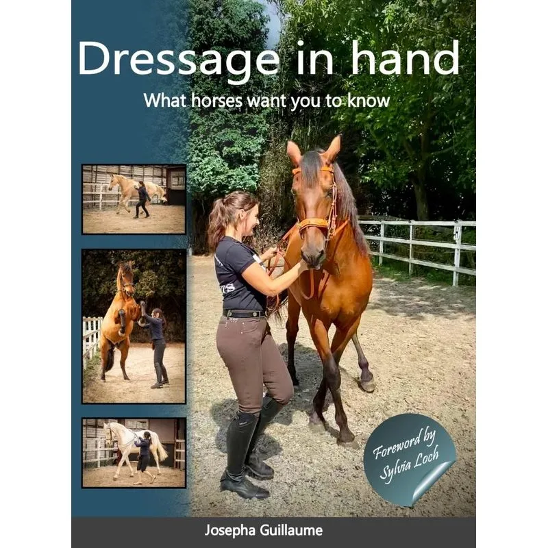 Dressage In Hand