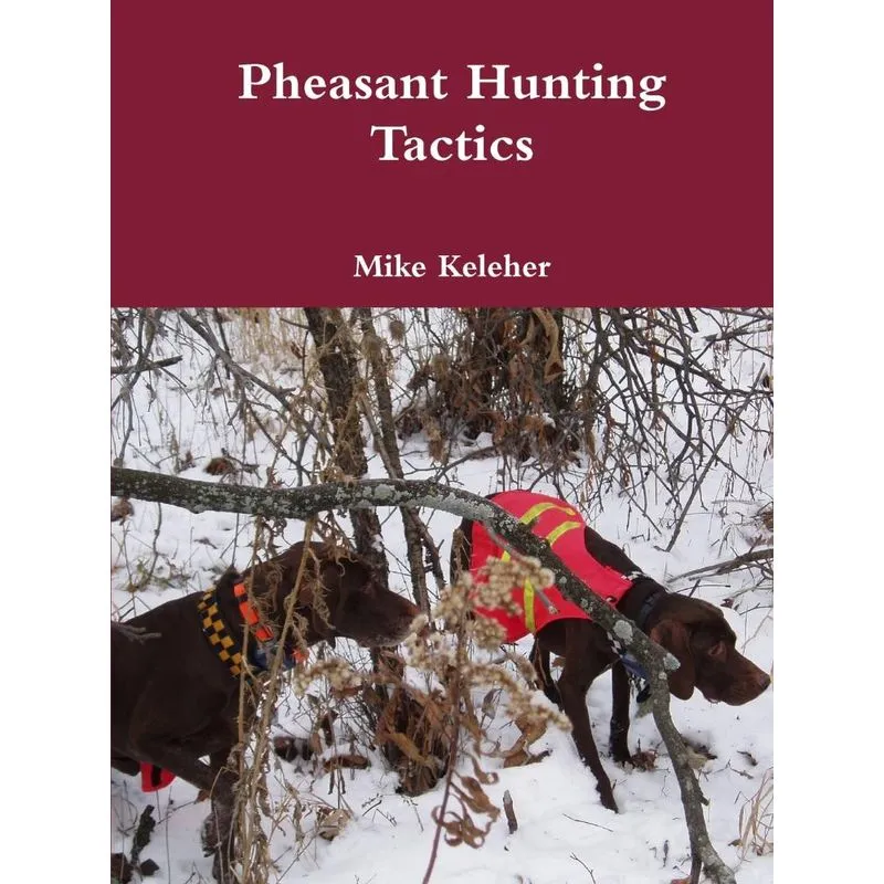 Pheasant Hunting Tactics