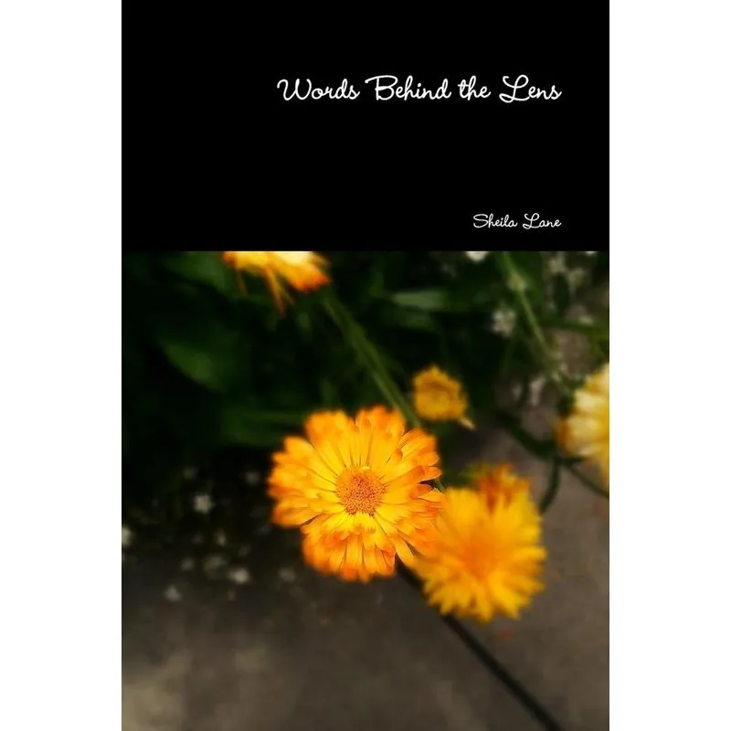 Words Behind the Lens