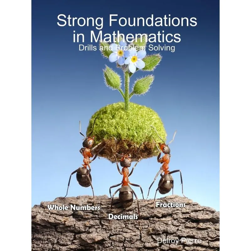 Strong Foundations in Mathematics