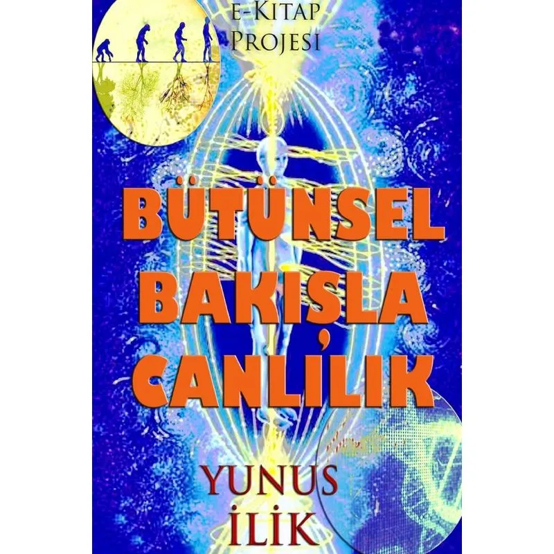 Bütünsel Bak