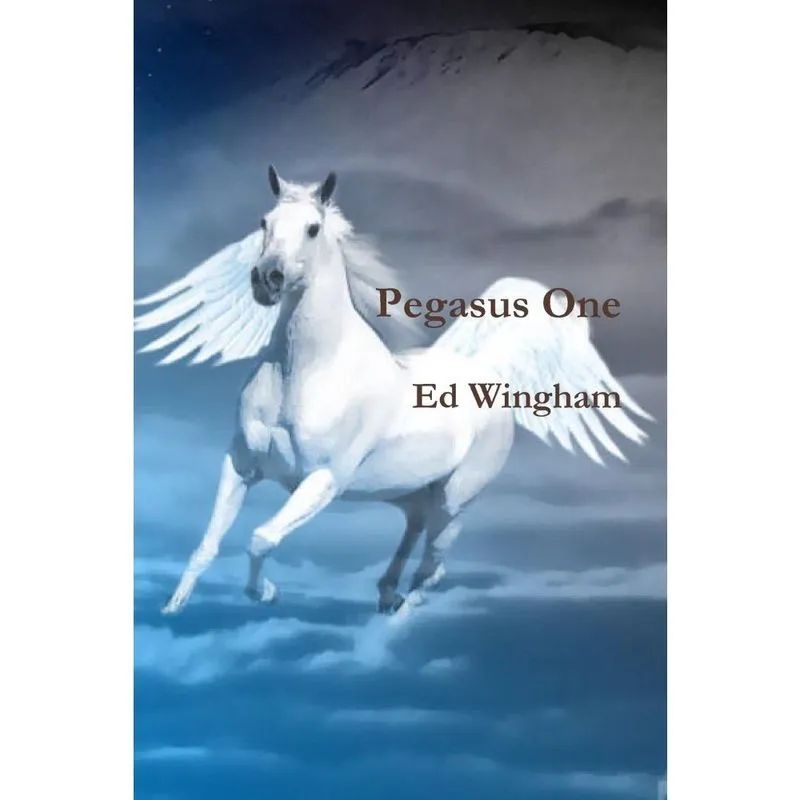Pegasus One