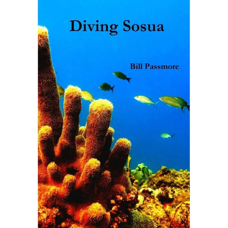 Diving Sosua