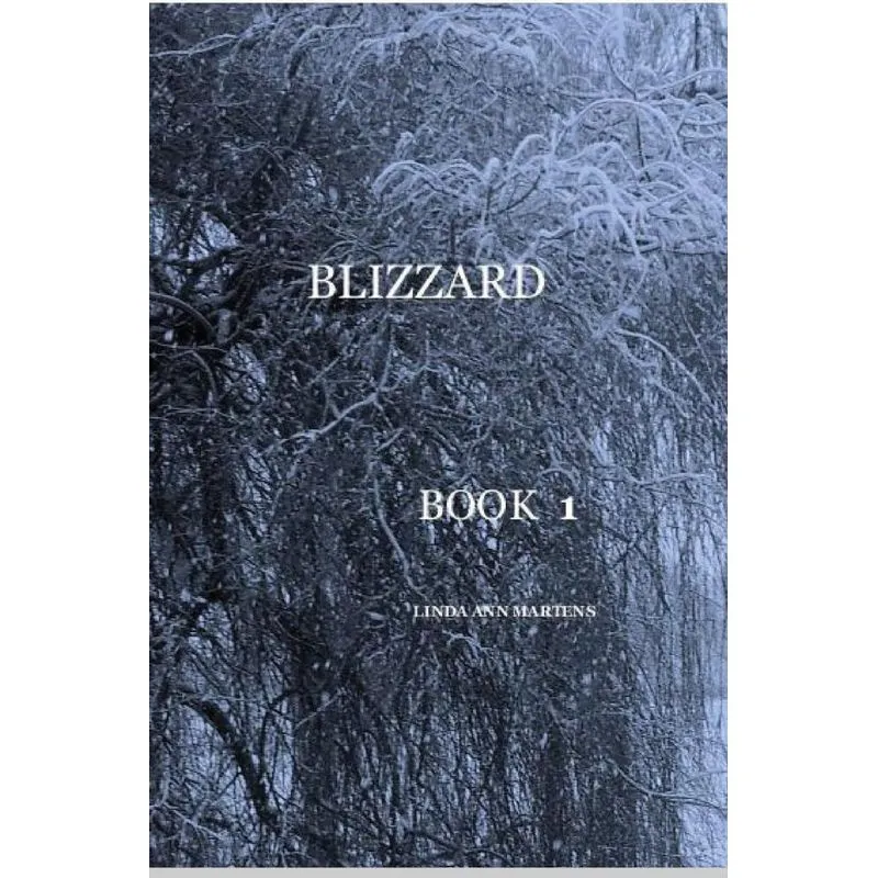 BLIZZARD BOOK 1 LINDA ANN MARTENS