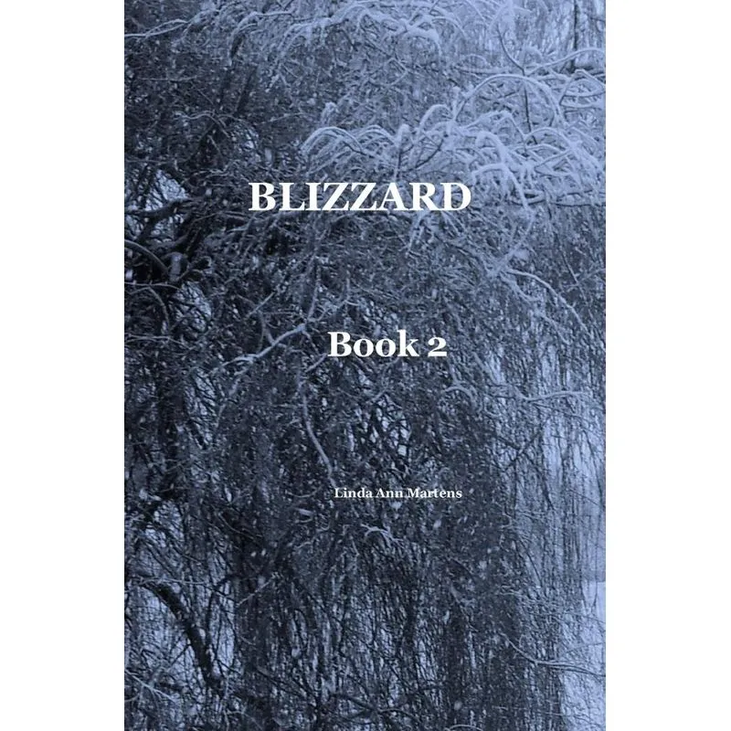 BLIZZARD Book 2 Linda Ann Martens