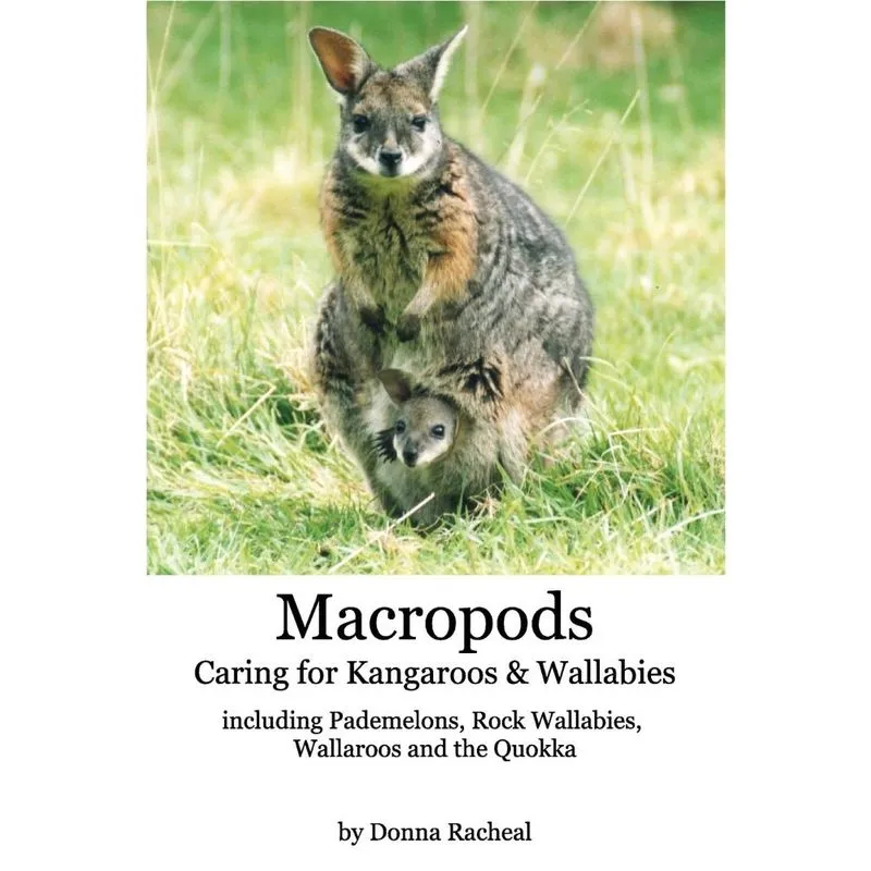 Macropods - Caring for Kangaroos and Wallabies