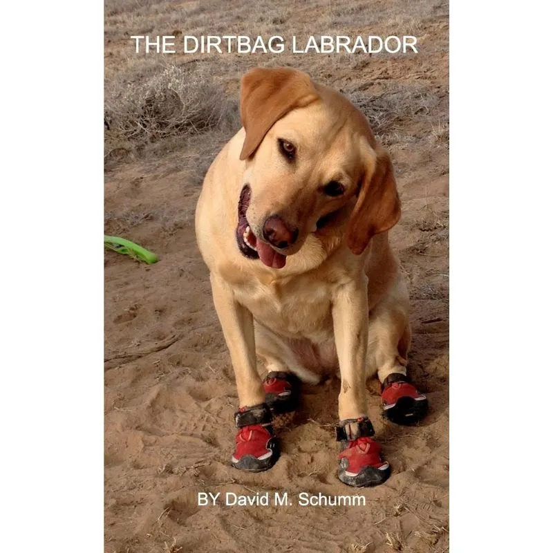 The Dirtbag Labrador