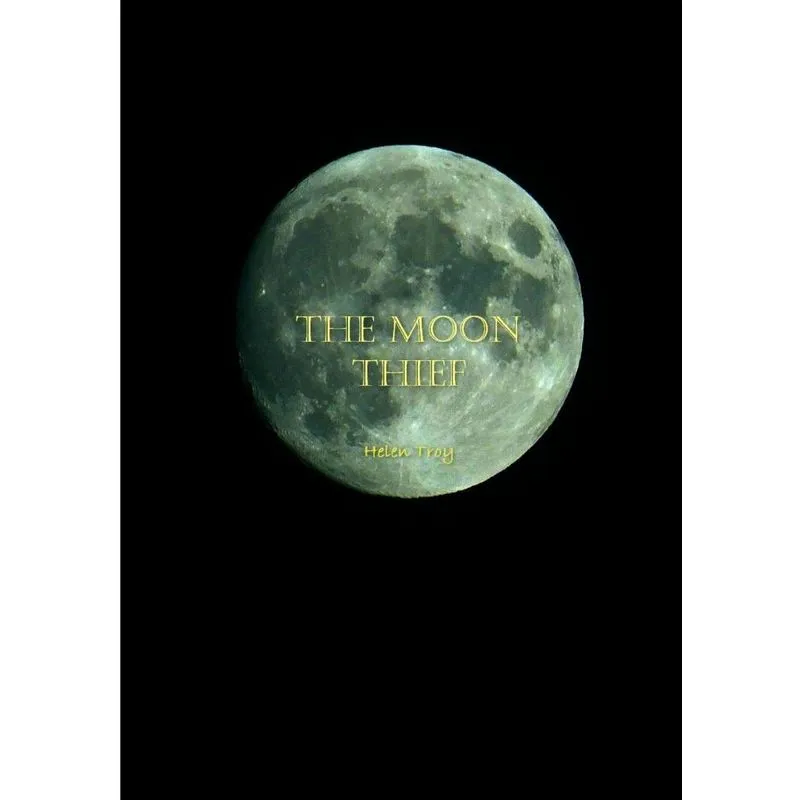 The Moon Thief