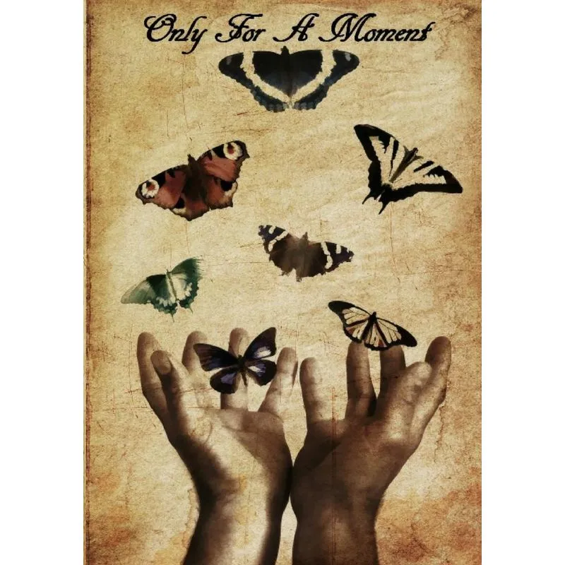 Only for a Moment