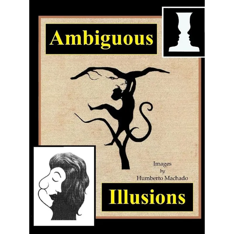 Ambiguous Illusions