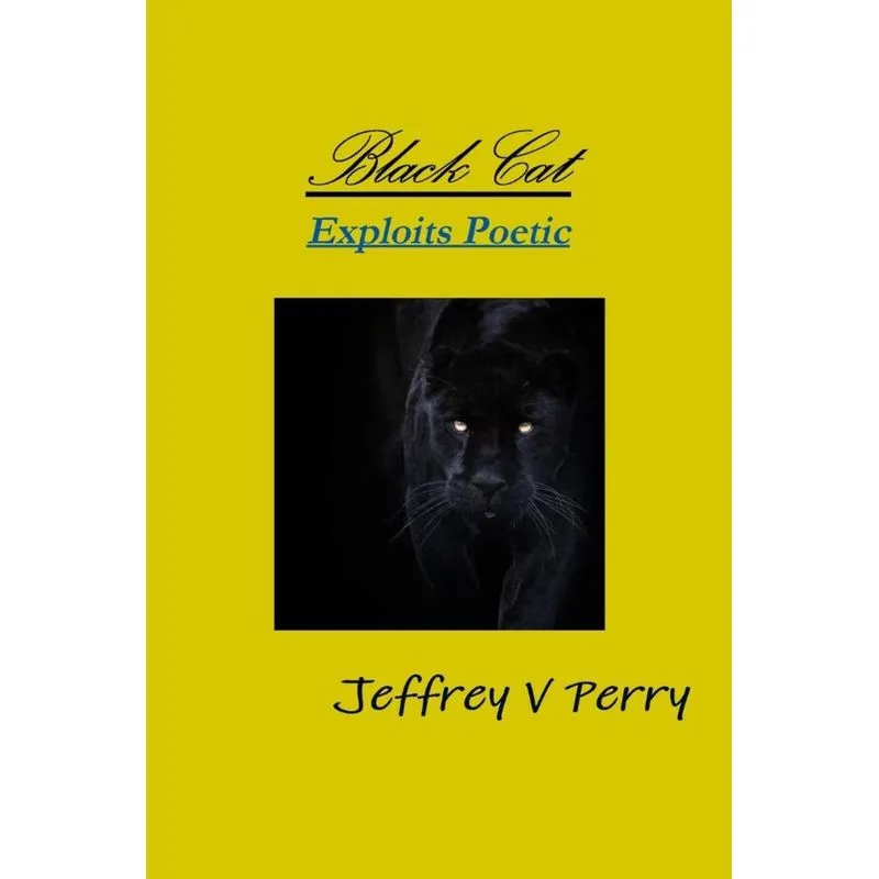 Black Cat, Exploits Poetic
