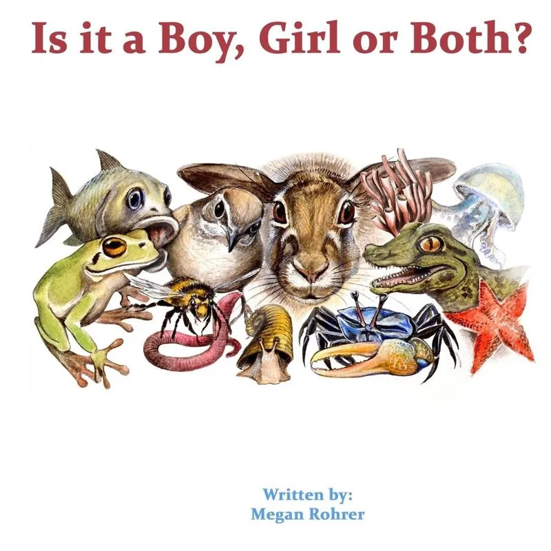 Is it a Boy, Girl or Both?