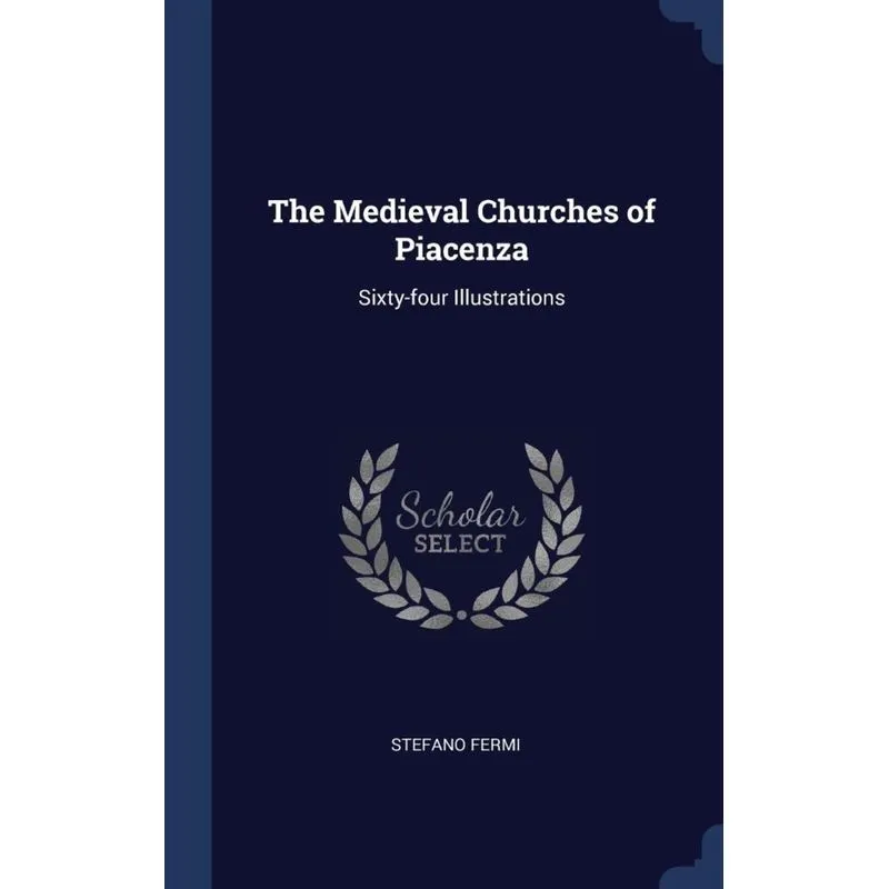 The Medieval Churches of Piacenza