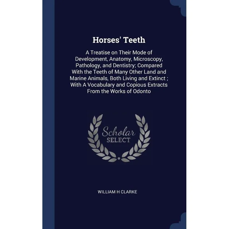 Horses Teeth