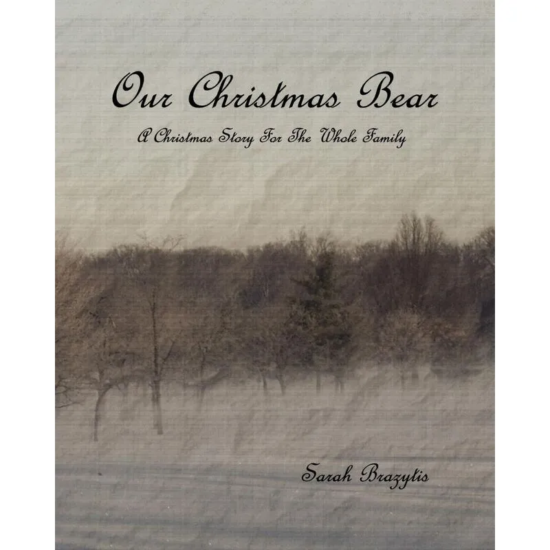 Our Christmas Bear