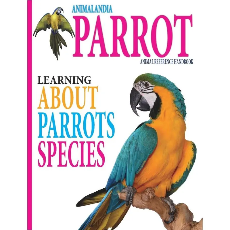 Animalandia Parrot