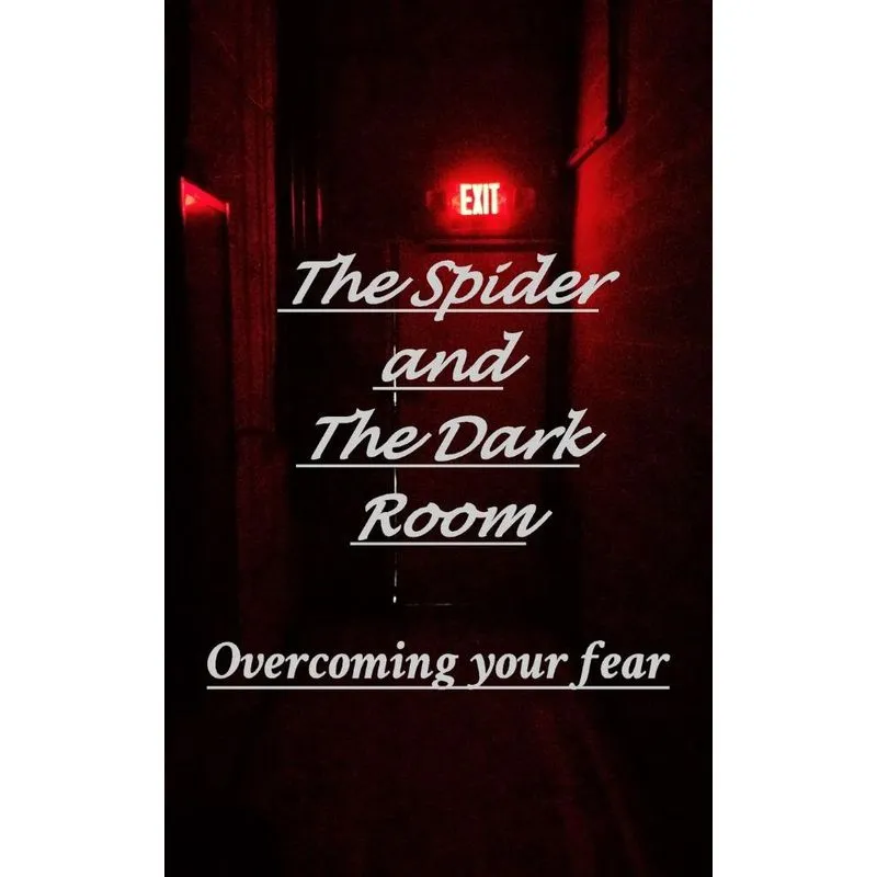 The Spider and the Dark Room