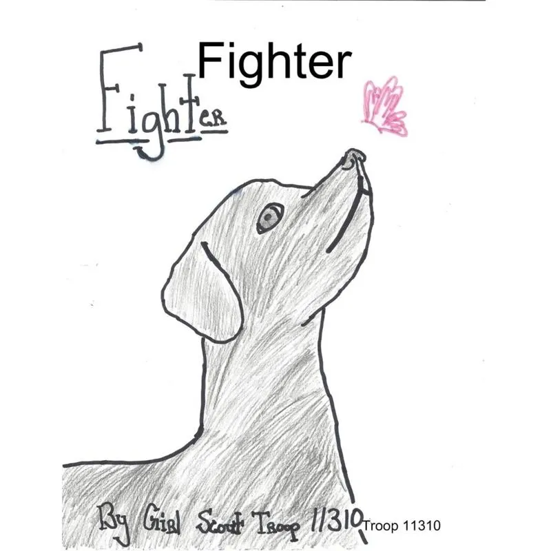 Fighter