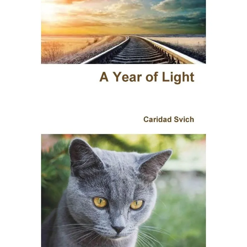 A Year of Light