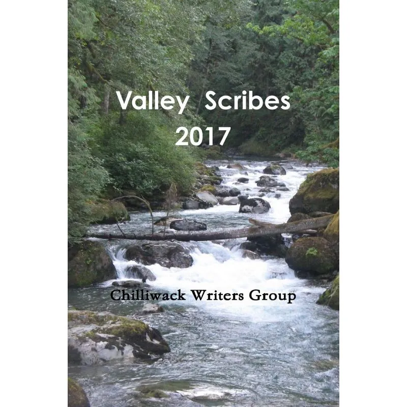 Valley Scribes 2017