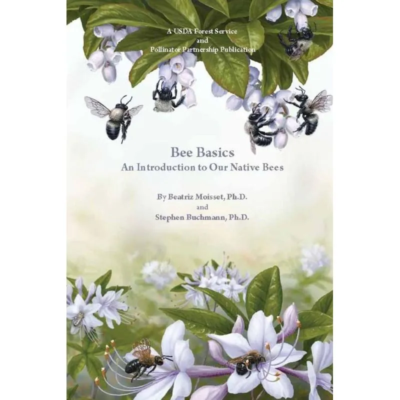 Bee Basics